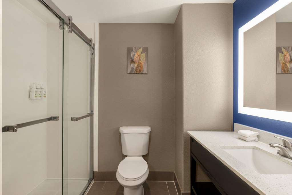 La Quinta Inn & Suites by Wyndham San Antonio N Stone Oak - photo 28