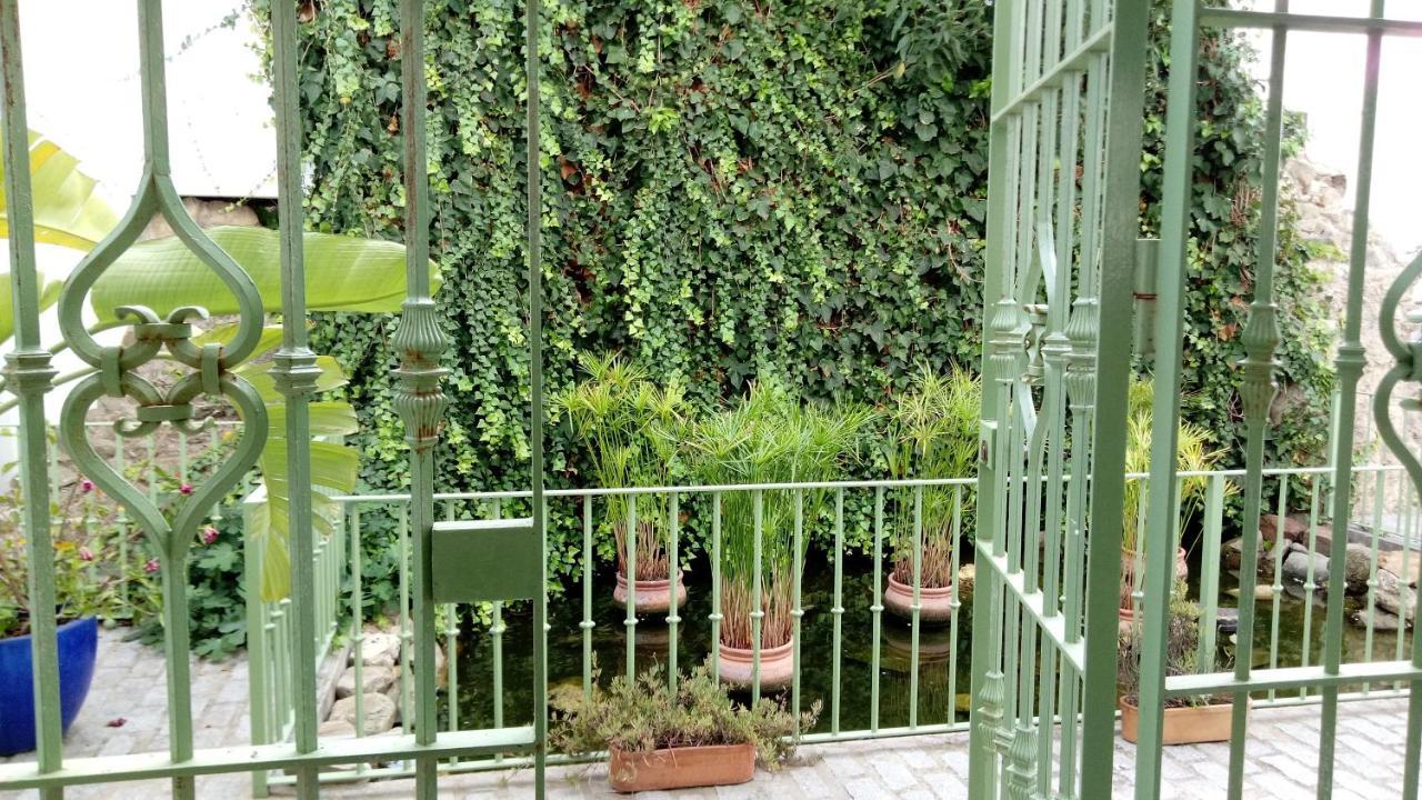 Gravina Comfort — carbon neutral stay, Tarifa