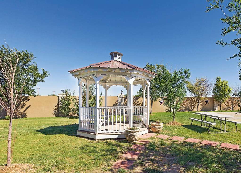 La Quinta Inn & Suites by Wyndham Dalhart - photo 4