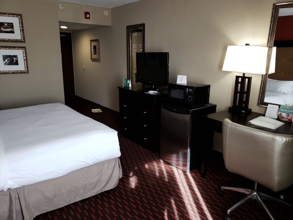 Wyndham Garden Dover - photo 4