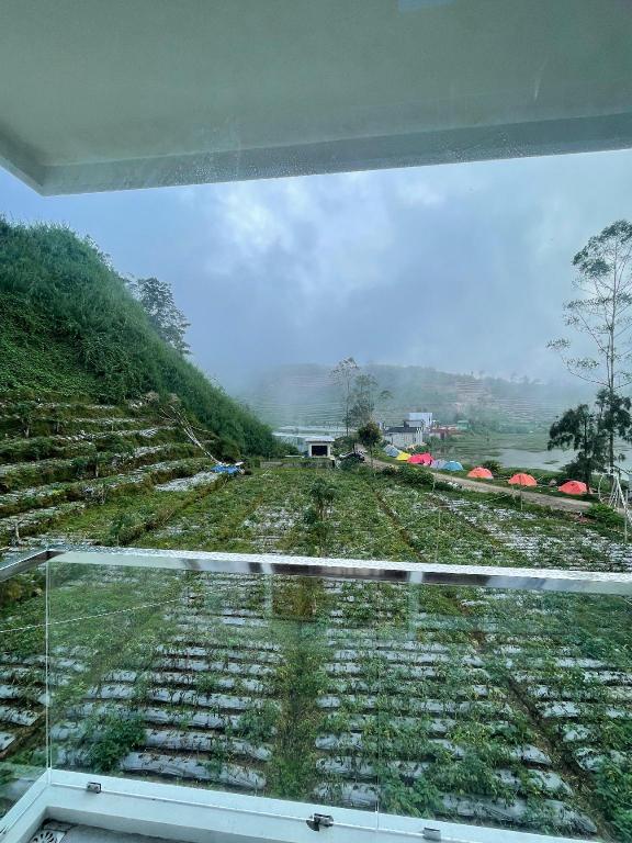 Haura Guesthouse Dieng — Wonosobo — photo 5