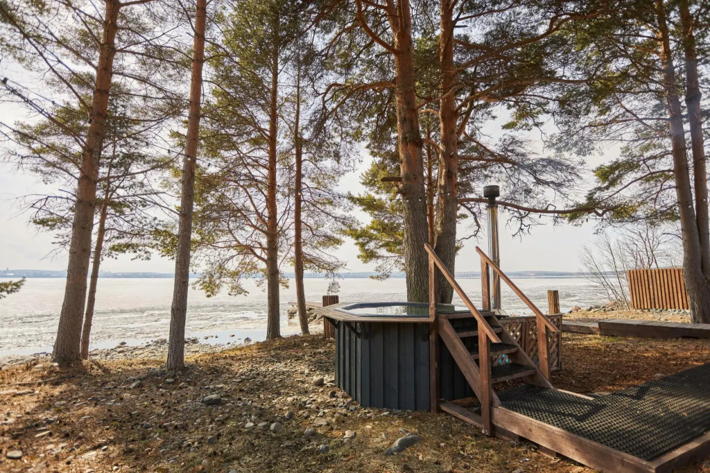 TaleoHome in Petrozavodsk, Russia