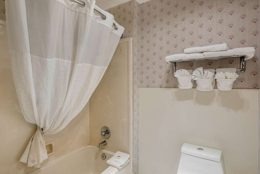Comfort Inn Mount Shasta Area - photo 16