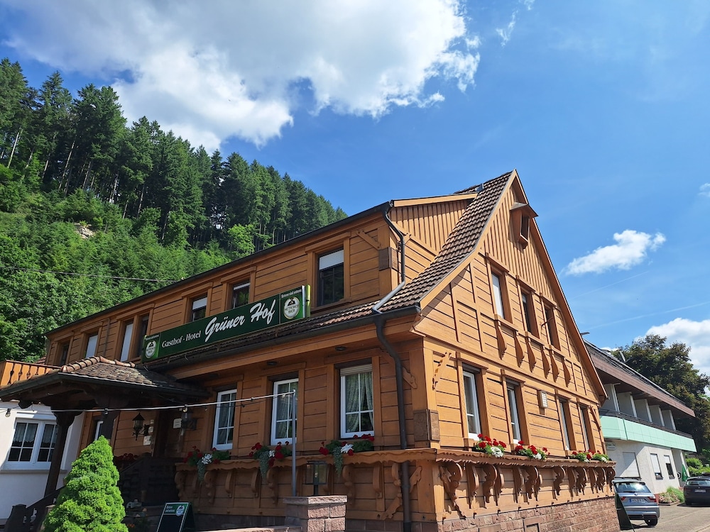Grüner Hof — hotel in Lahr
