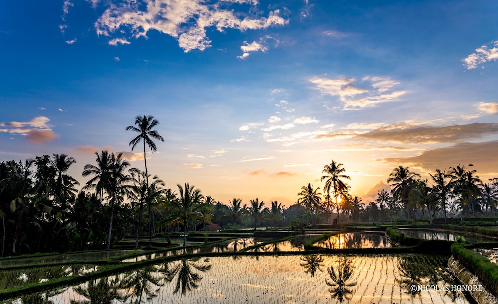 Hati Padi Cottages — hotel in Payangan
