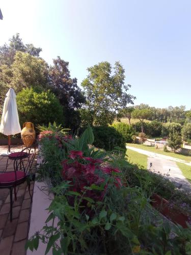 The Olive Grove Roma Guest House — 4-Star Luxury Hotel in Rome, Italy