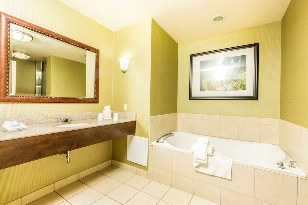 Hilton Garden Inn St. George - photo 32