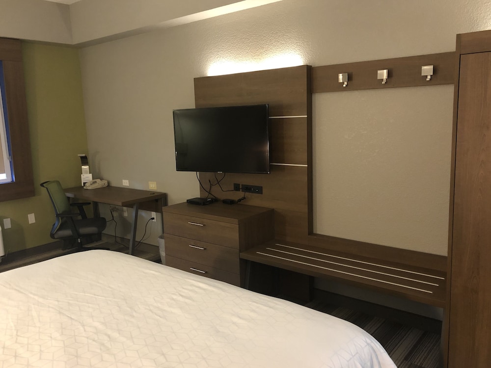 Holiday Inn Express & Suites West Palm Beach Metrocentre by IHG - photo 21