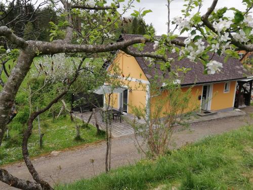 Ferienhaus Muster Dominkusch II in Leutschach, Austria