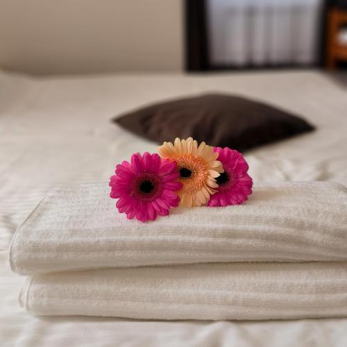 Noclegi Pod Lyskami in Nowy Targ, Poland