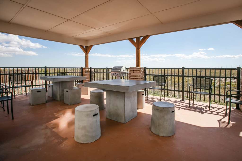 Microtel Inn & Suites By Wyndham Pecos - photo 15