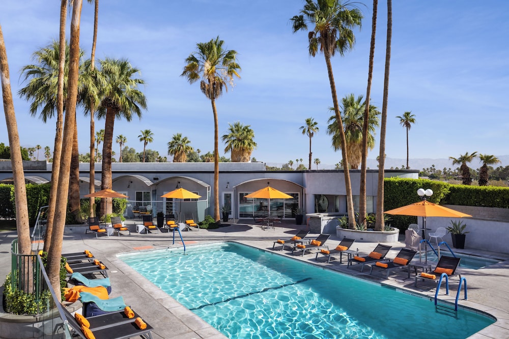 The Palm Springs Hotel - photo 40