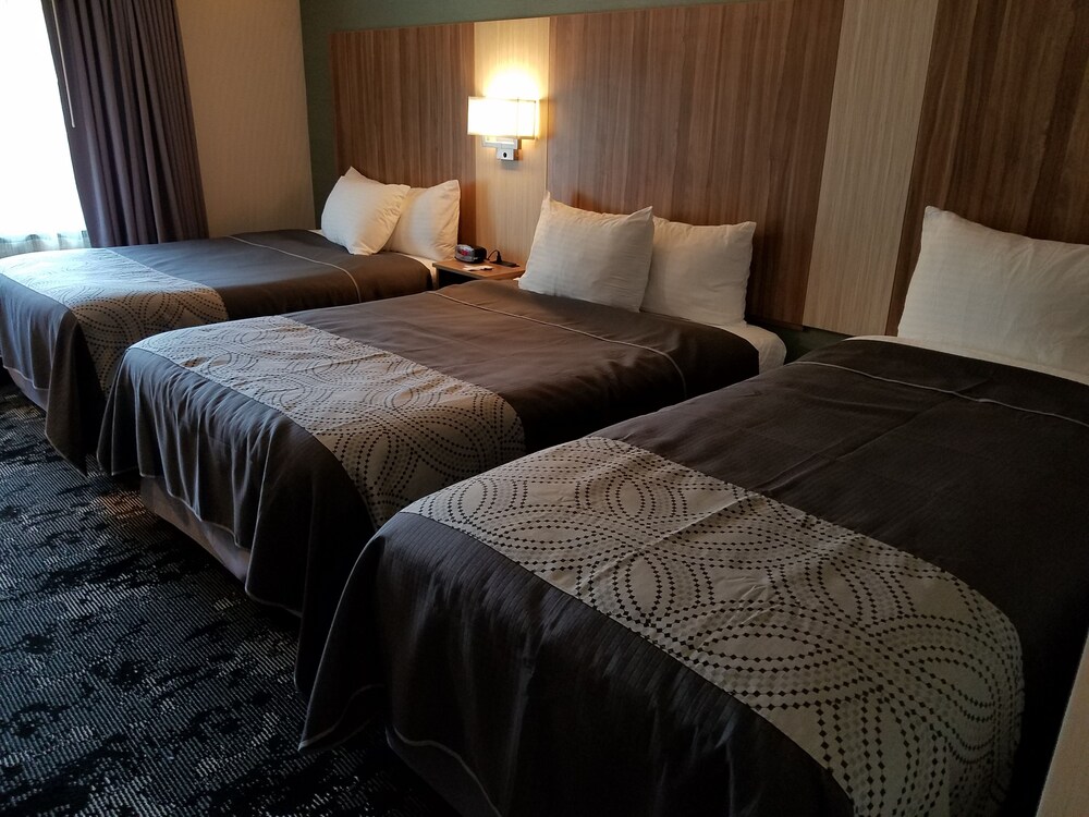 Aartpark Hotel Inn At Lewiston - photo 8