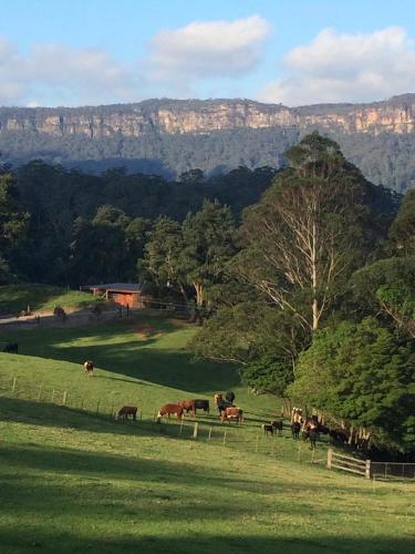 Amaroo Valley Springs in Unknown City, Australia