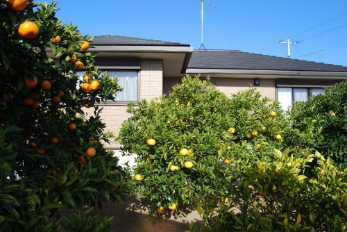 Minpaku Orange Garden Vacation STAY 18601 in Ise, Japan