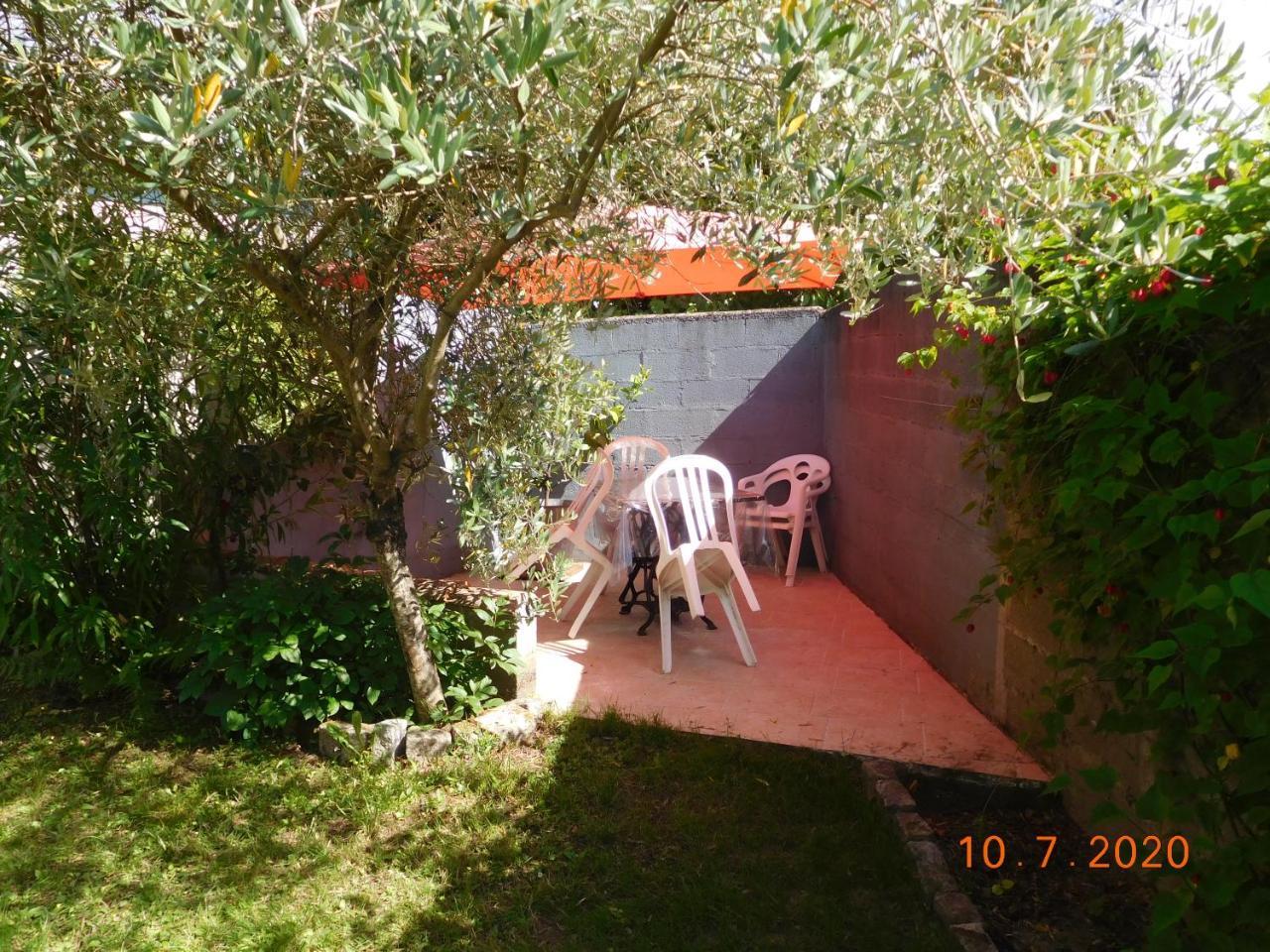 L’olivier — Bouguenais — photo 4