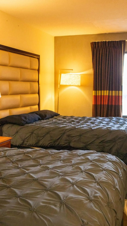 Executive Inn Yanceyville - photo 19