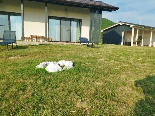 Cabana Doris Coronini - carbon neutral hotel in Unknown City