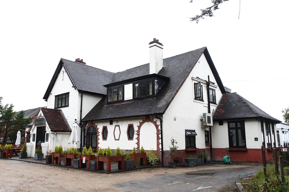 Primary image
