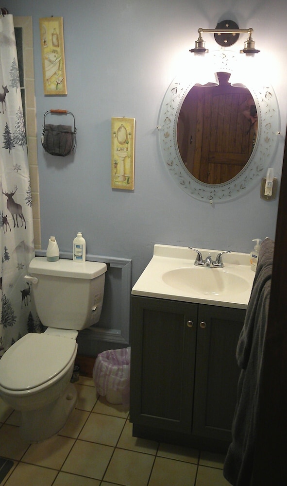 Lil Black Bear Inn - photo 86