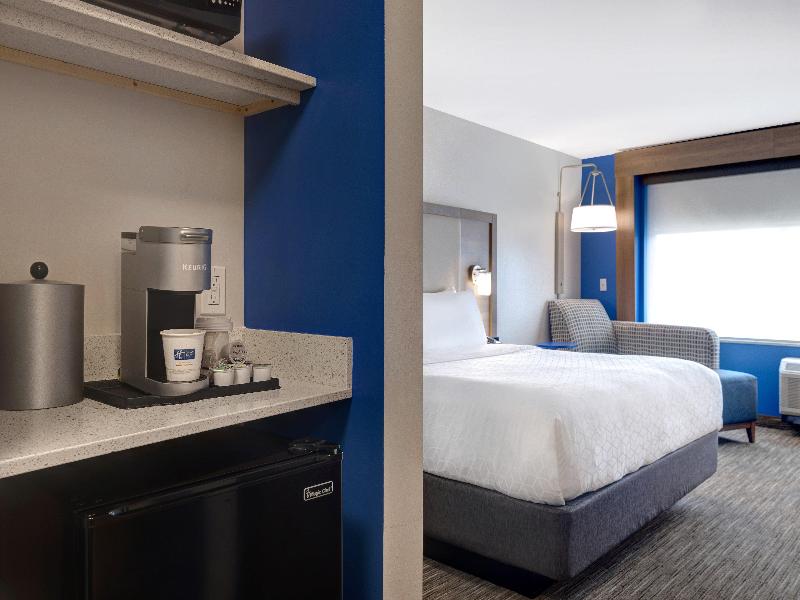 Holiday Inn Express & Suites Ann Arbor University South by IHG - photo 63