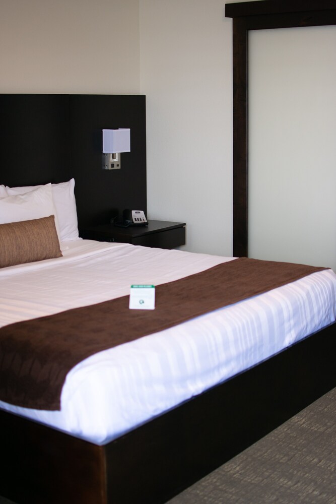 Boarders Inn & Suites by Cobblestone Hotels Syracuse - photo 12