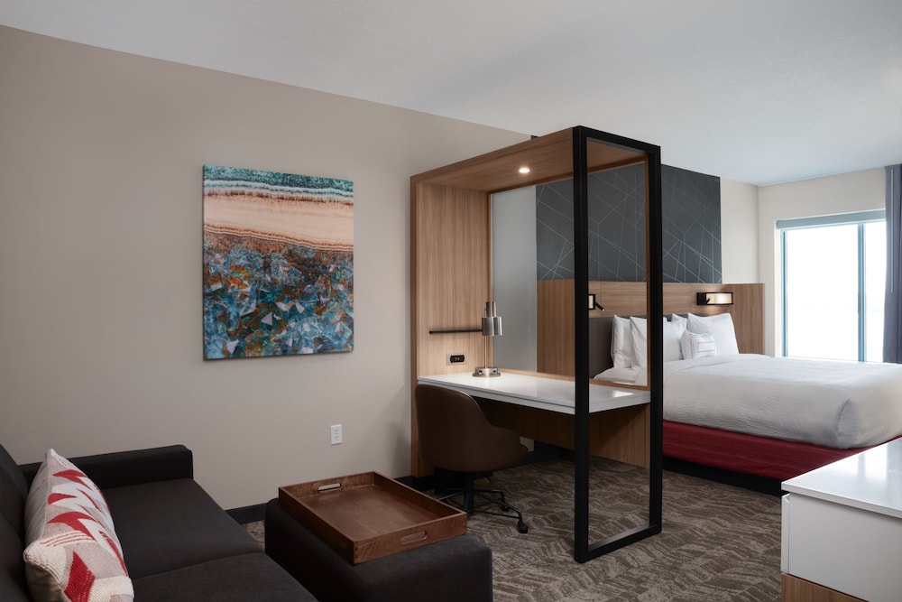 SpringHill Suites by Marriott Orlando Theme Parks Lake Buena Vista - photo 8
