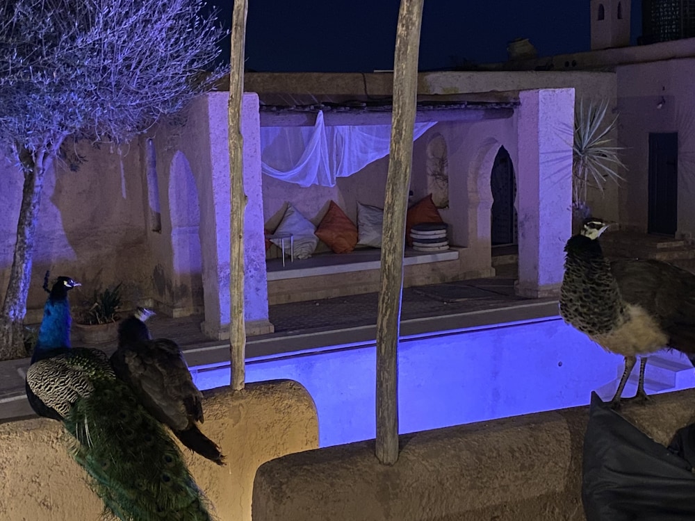 Marrakesh 6 bed Housing Authentic Berber in Amizmiz, Morocco