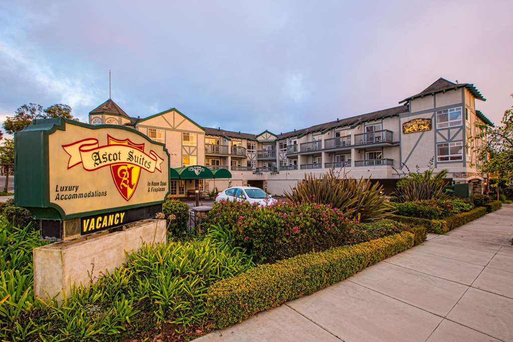 Ascot Suites - featured photo