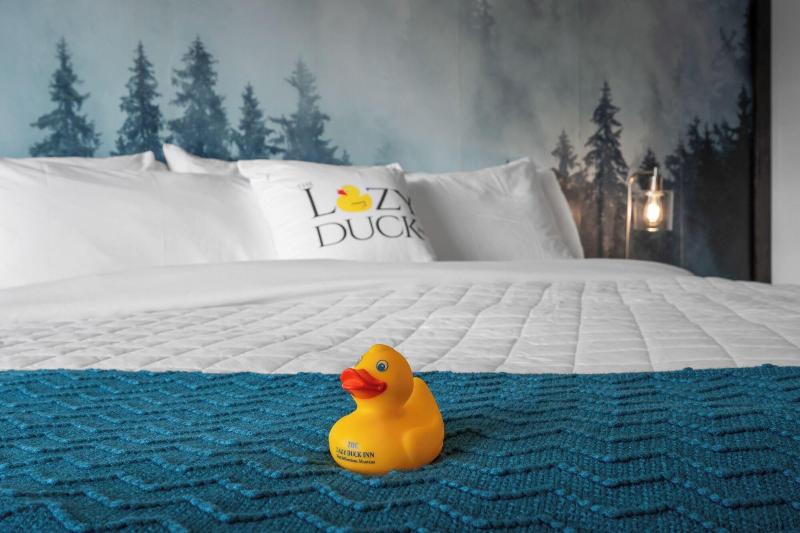 The Lazy Duck Inn - photo 117