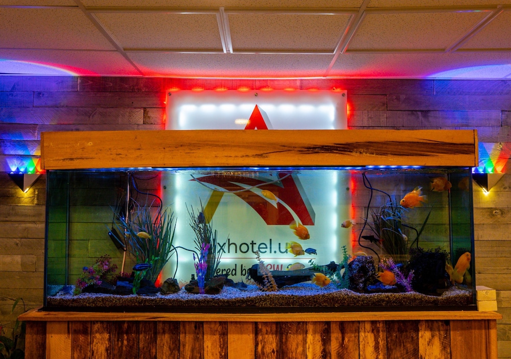 Lx Hotel Powered by ACW Circle - photo 6