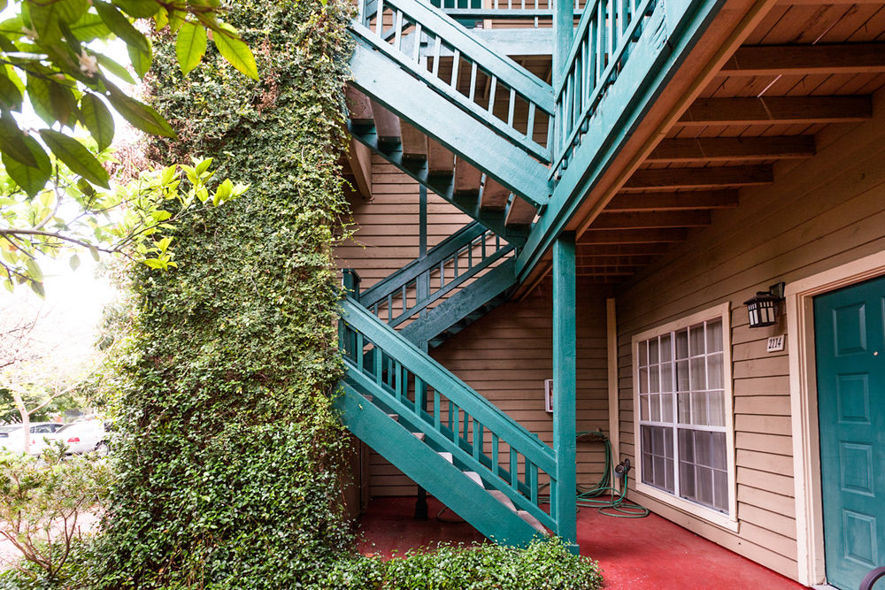 Habitat Suites - photo 15