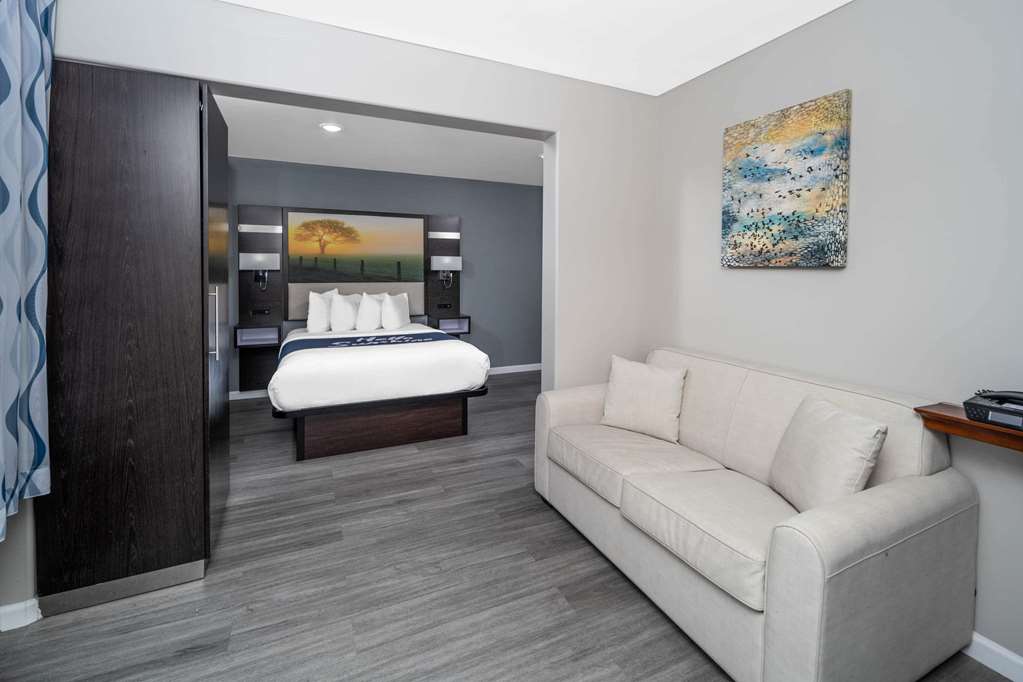 Days Inn by Wyndham Galt Elk Grove South - photo 19