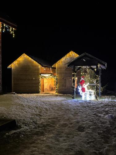 Bieszczadzki Zagajnik in Lesko, Poland