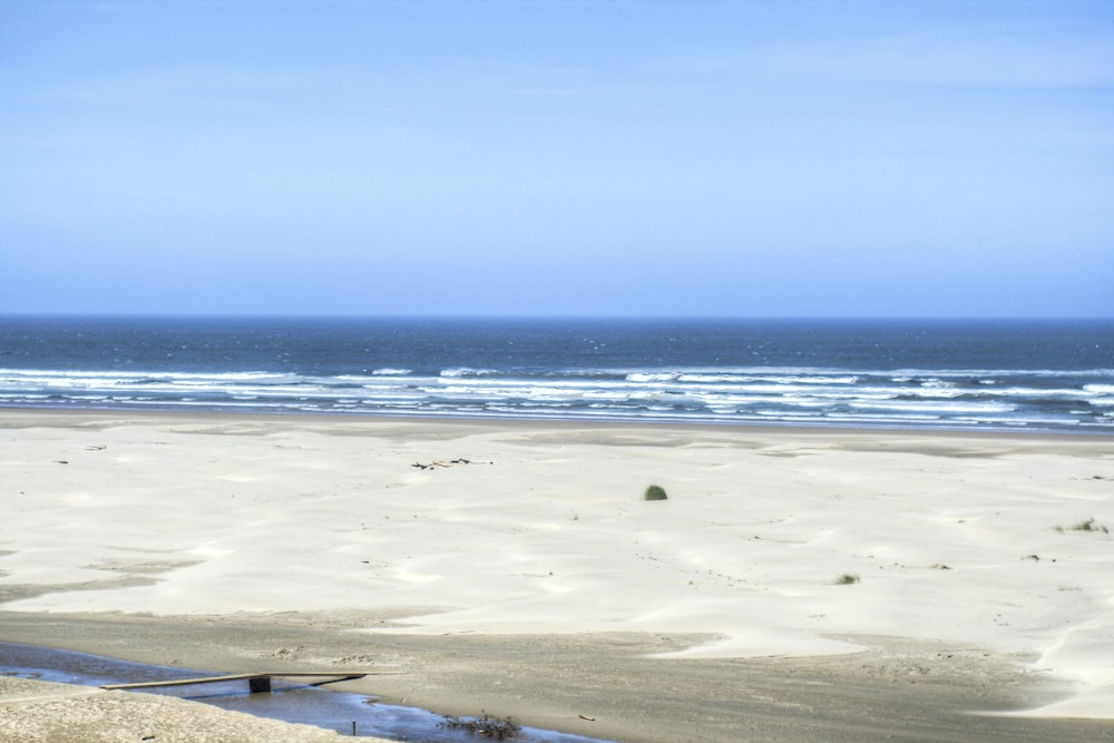 Little Creek Cove Beachfront Resort - photo 6