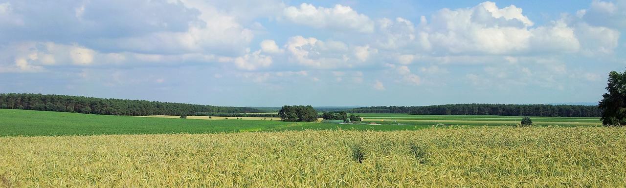 Grooten Wiebkings — Neustadt Am Ruebenberge — photo 2