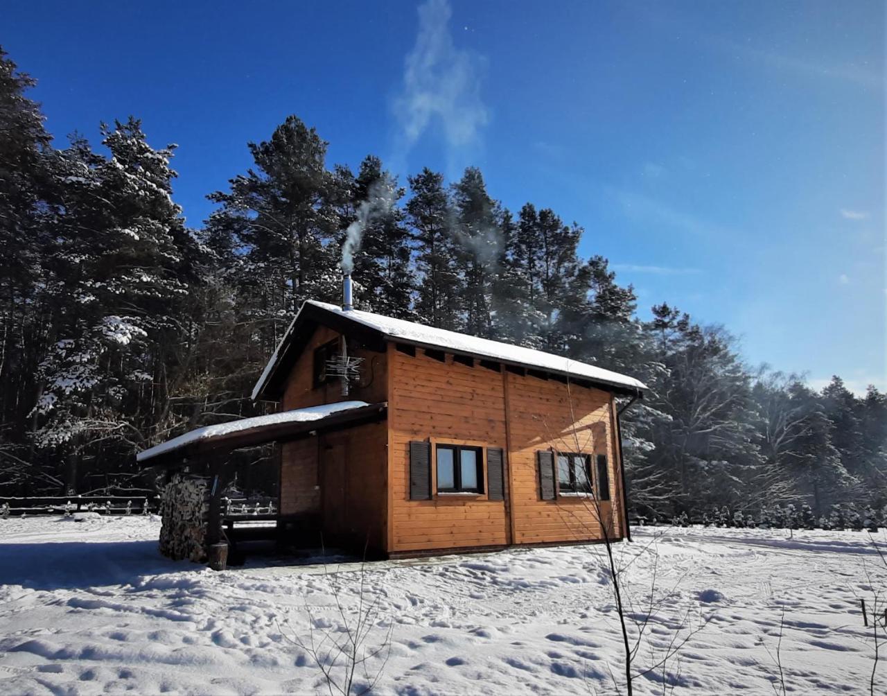 Chata Lesna Polana — hotel in Kurzetnik