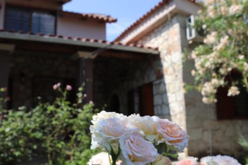 Villa Polytimi — 4-Star Luxury Hotel in Vonitsa, Greece