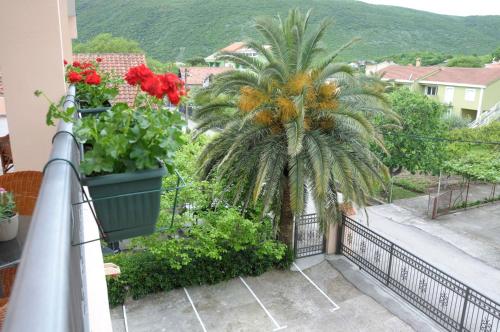 Apartments Royal — 4-Star Luxury Hotel in Budva, Montenegro