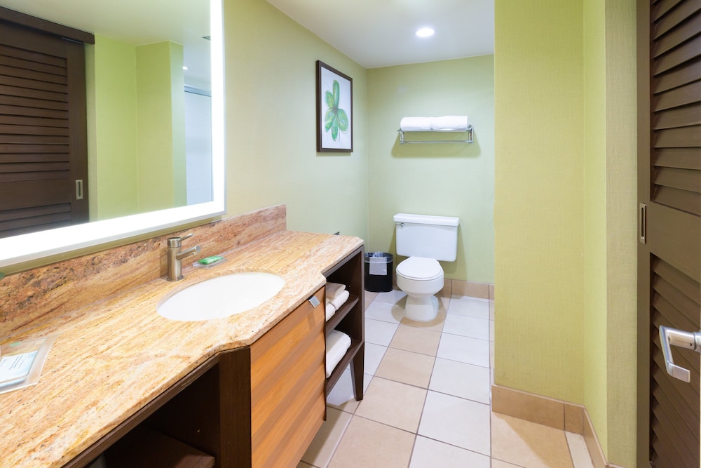 Holiday Inn San Jose Silicon Valley by IHG - photo 20