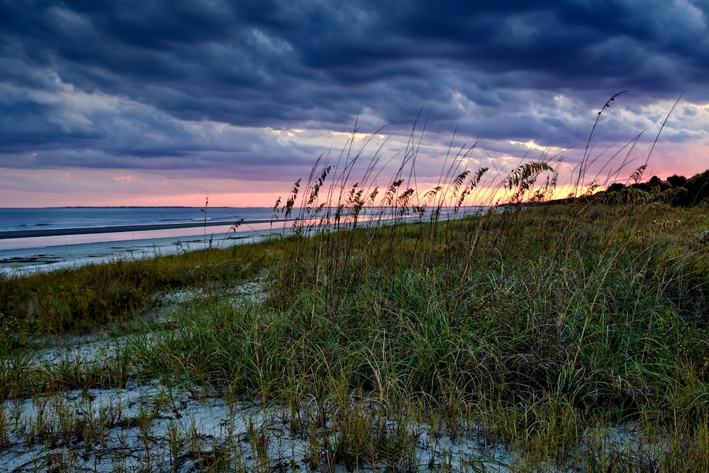 Holiday Inn Express Hilton Head Island by IHG - photo 70