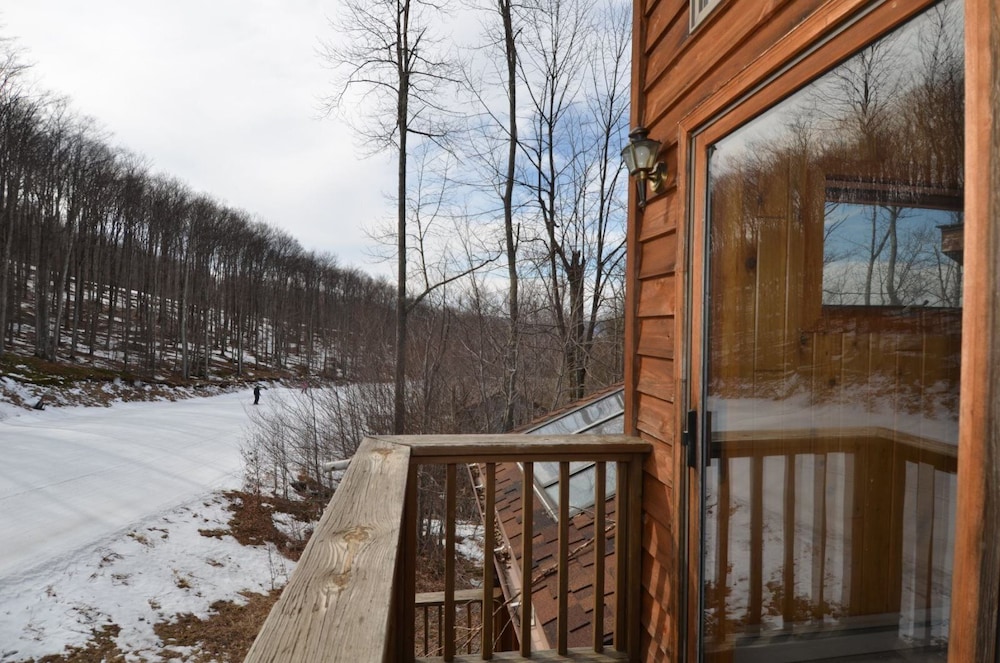 Ski Inn - photo 13