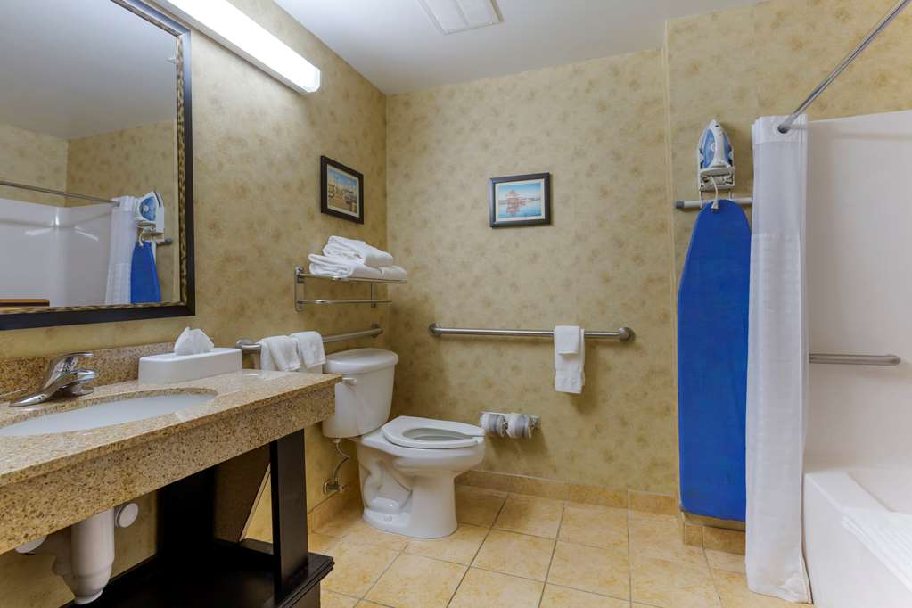 Comfort Inn & Suites Cambridge - photo 9