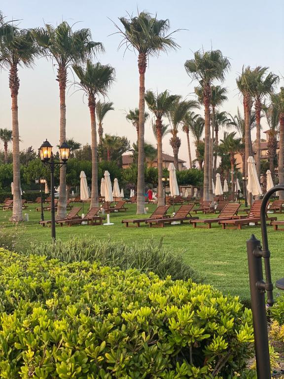Royal Seacrest F G5 ground floor apartment — 4-Star Luxury Hotel in Paphos, Cyprus