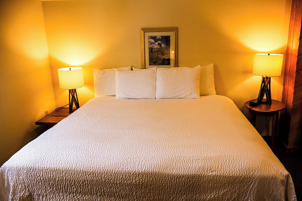 Snowy Owl Inn And Resort - photo 28