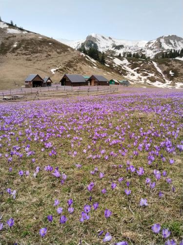 Katun Siska Medna Dolina in Berane, Montenegro