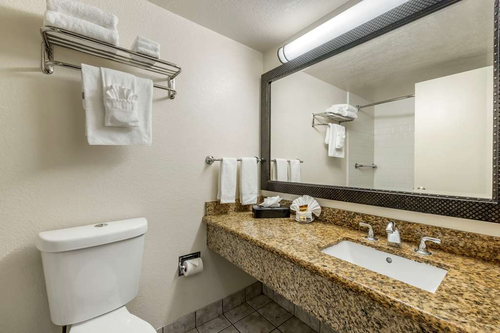 Best Western Plus South Bay Hotel - photo 27