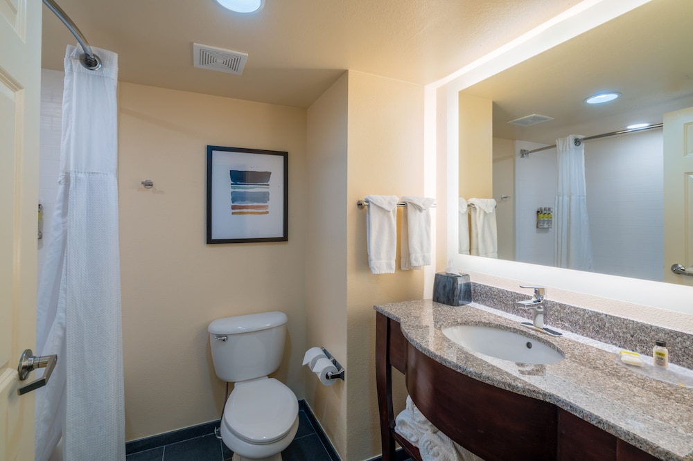Staybridge Suites Memphis Poplar Ave East by IHG - photo 32
