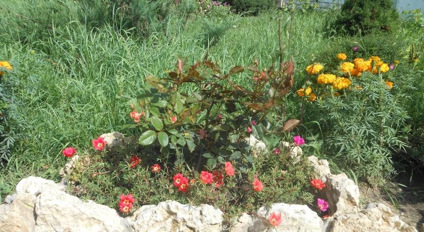 Gostiny Dvor Leon — Yelets — photo 3