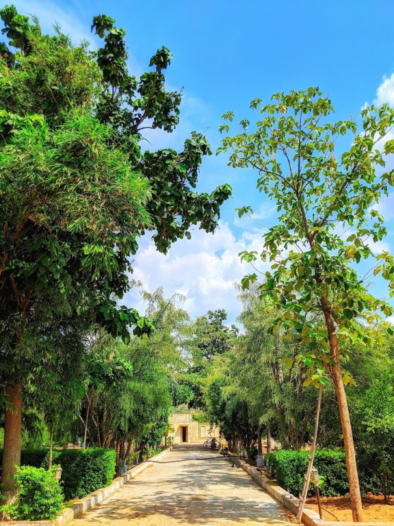Nurture by Madpackers — Ajmer — photo 3